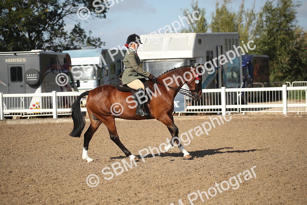 SBM_22709 - Class 601 - 2026 - Area - Ridden Diamond