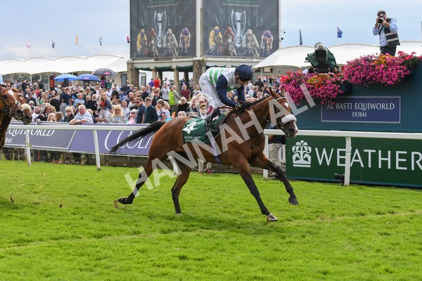 250823-Race 2-Coltrane-0342 - Race 2 2.25pm Weatherbys Hamilton Lonsdale Cup Stakes