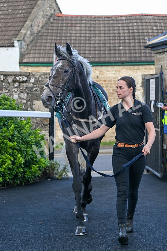 080926-Race 6-Shes A Goldigger-2906 - Race 6 4.46pm Download The Raceday Ready App Handicap