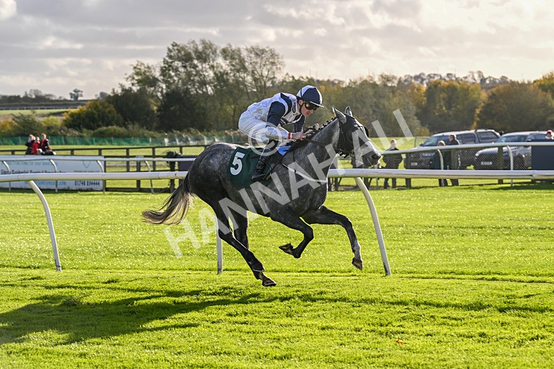 281025-Race 2-Grey Horizon-0900 - Race 2