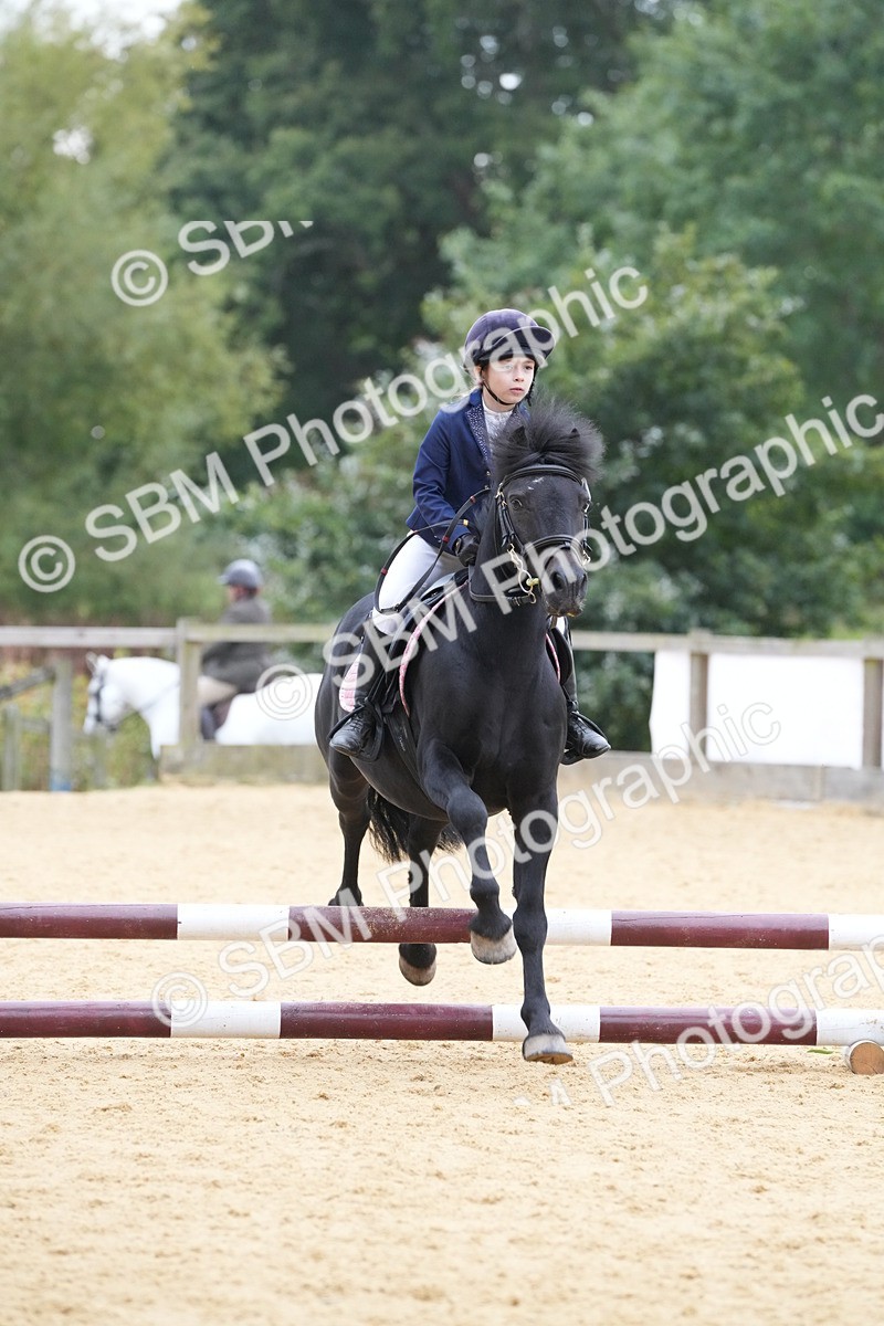 SBM_74555 - J4 - Mini Tour Junior Pony 45cm Championship