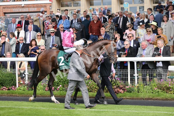 yr20082021r2-21 - Race 2 2.25pm Weatherbys Hamilton Lonsdale Cup (British Champion Series race)