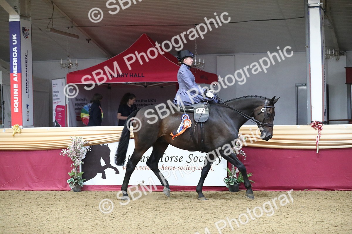 SBM_11642 - Class 105 Ridden Costume- Side Saddle