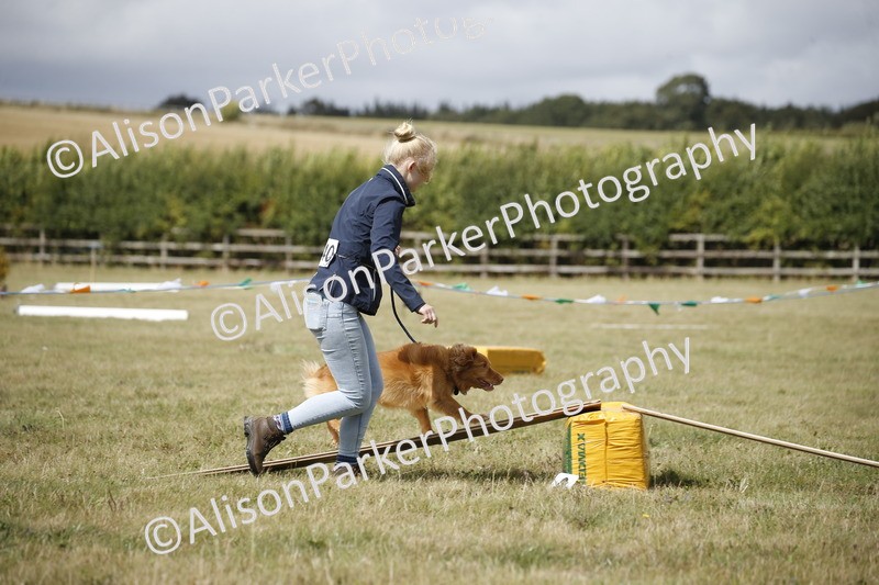 20250831-3885 - Dog Show