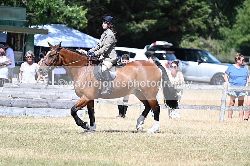 WJ7_3498 - Class 8 Ridden Veterans