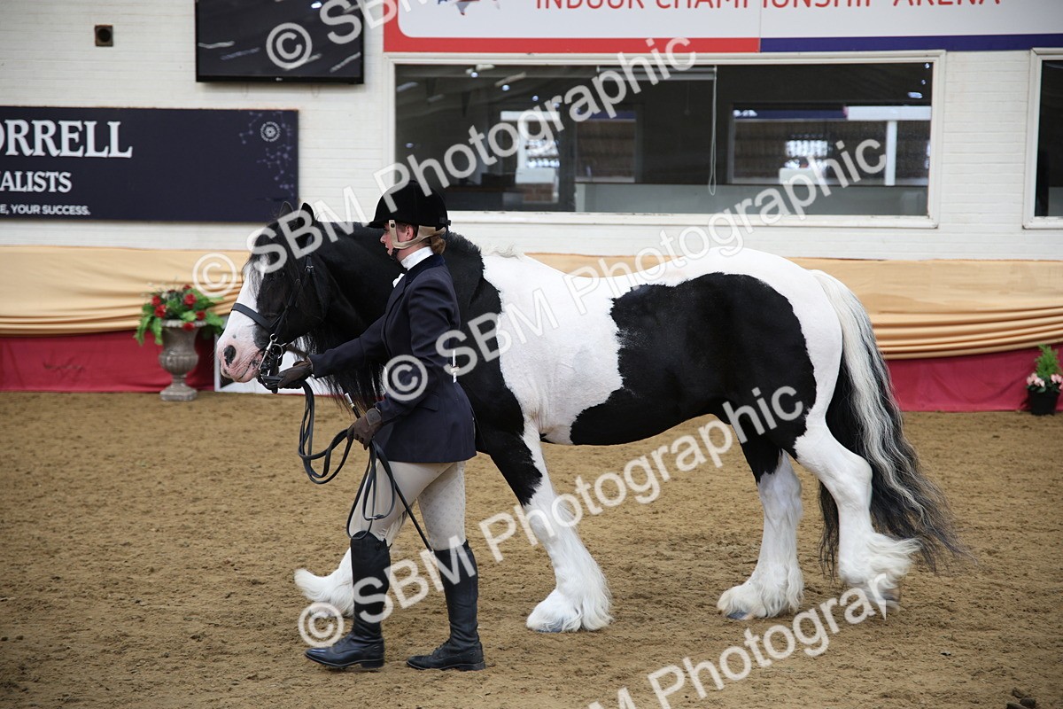 SBM_24730 - Class 906 - Supreme Final - Ridden Pre Vet