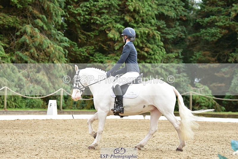 250719A-143610-06295 - 166-Ruby.Vincent-Silver.lining