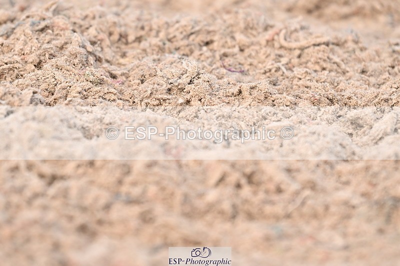 240324A-132148-03369 - Novice 28, 13.00 to 14.00