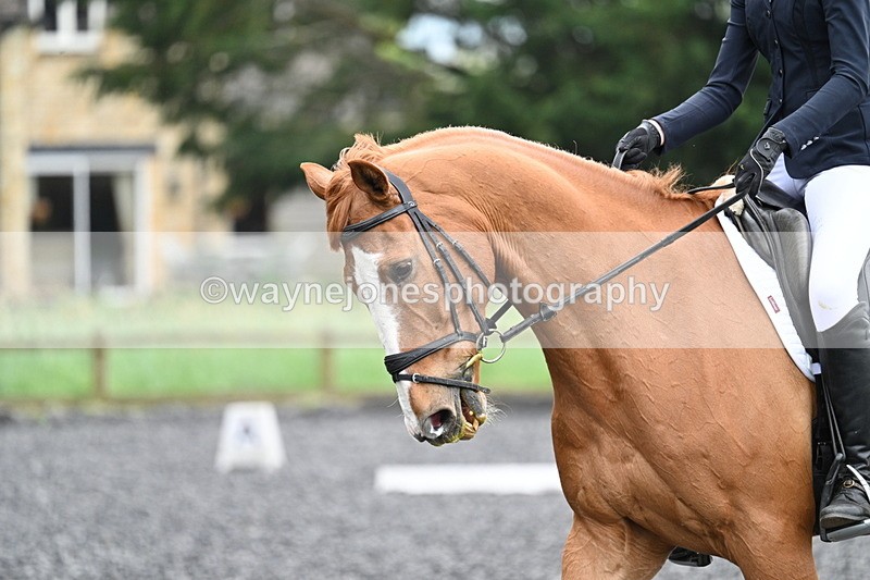 WJ7_1553 - Time 14:58 to 15:03