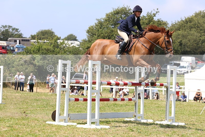 3E7A3362 - Class 10: Senior Foxhunter/1.20 open