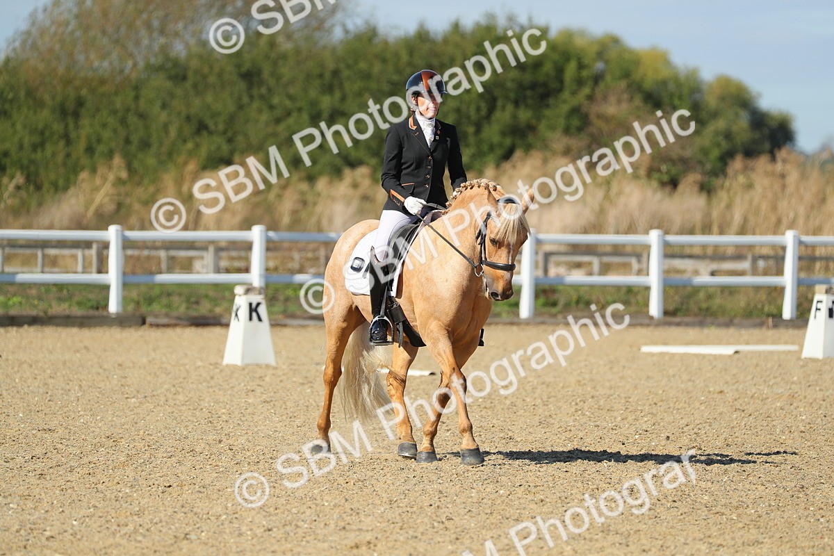 SBM_001896 - Class 8 - E5