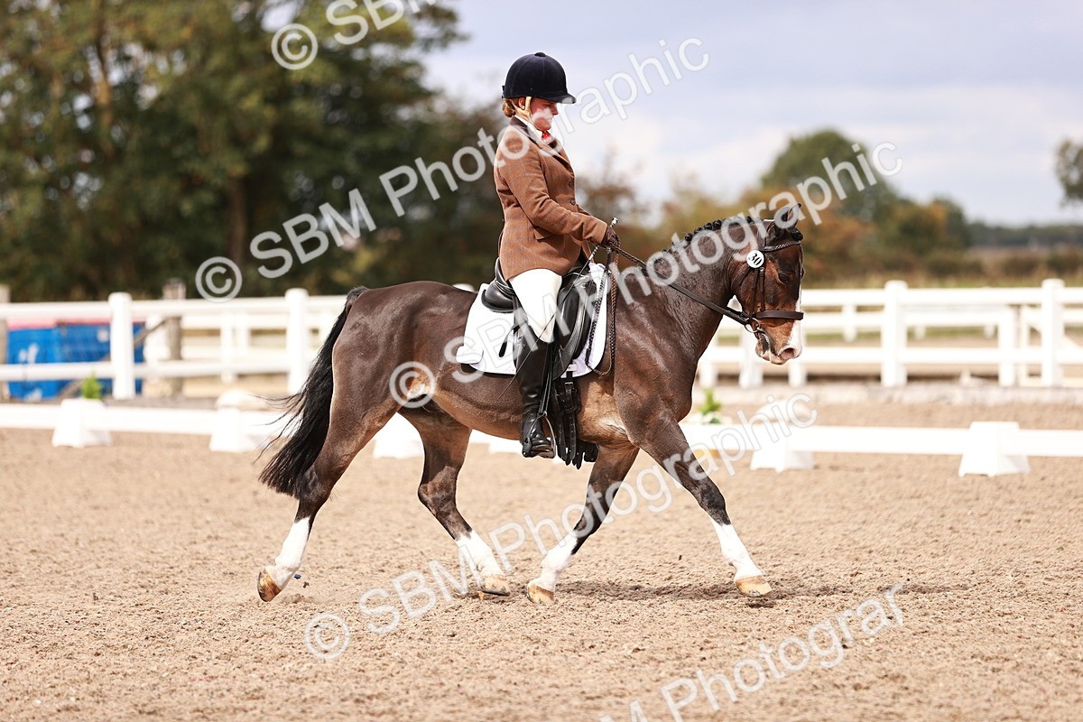 SBM_06240 - Class 37 - Novice 5