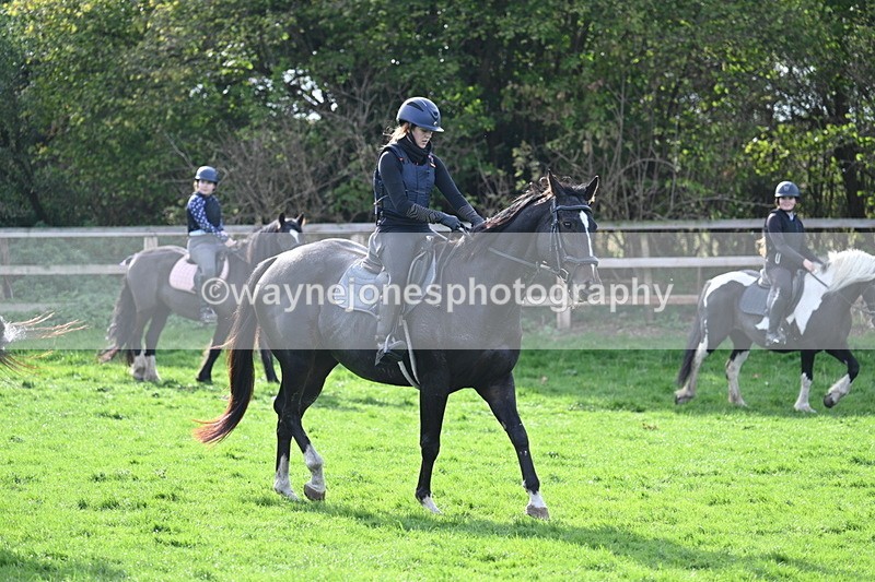 WJ7_1037 - Time 14:27 to 15:11