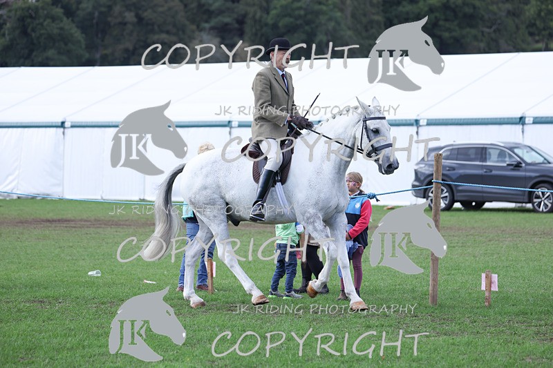 APP_4157 - Class 15a/b Pony club pony/Riding club horse
