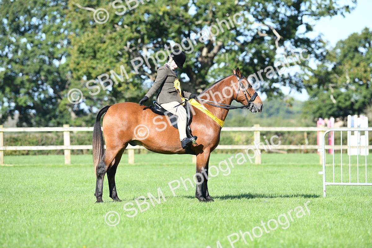 SBM_35571 - Top Turnout Supreme Championship