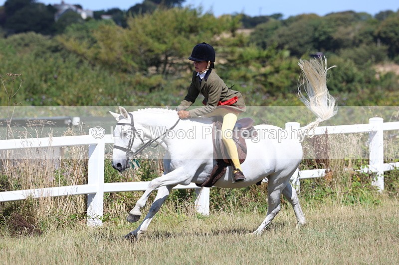 3E7A6398 - Working Hunter Championship