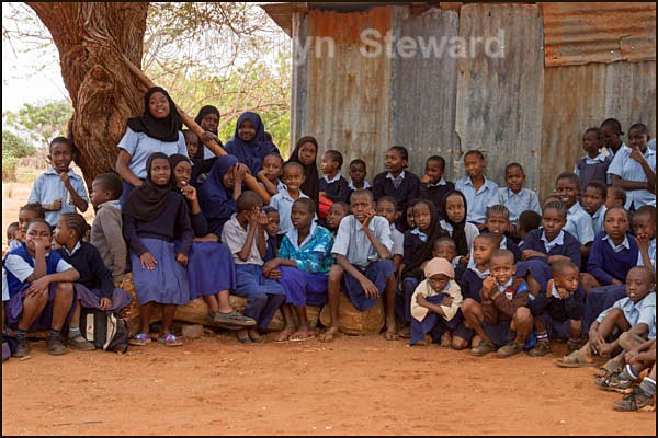 Gathering under the tree #1 - Kalela Primary School, Kenya