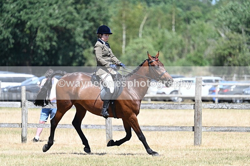 WJ7_3143 - Class 7 Riding Club Show Horse