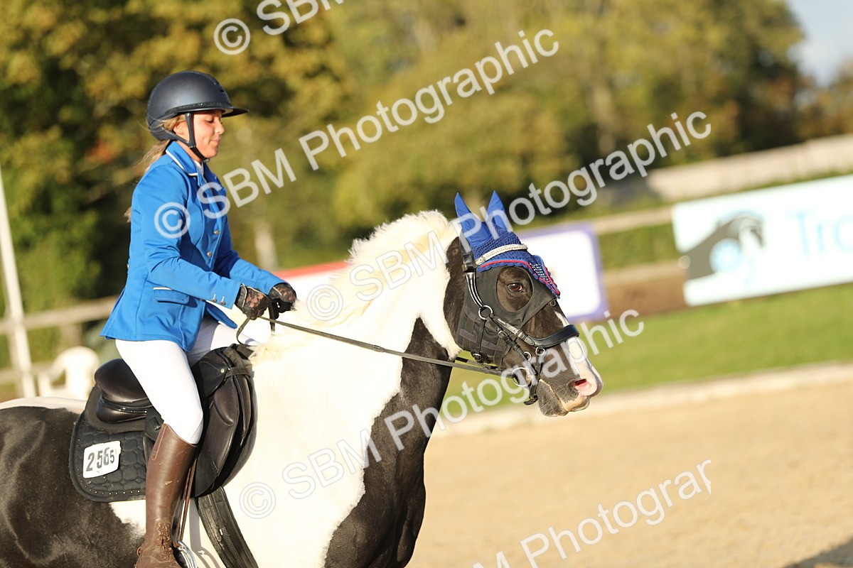 SBM_54201 - J23 - Junior Horse 70cm Championship