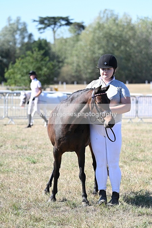 WJ7_1904 - Class 43 Best Six Legs (In hand)