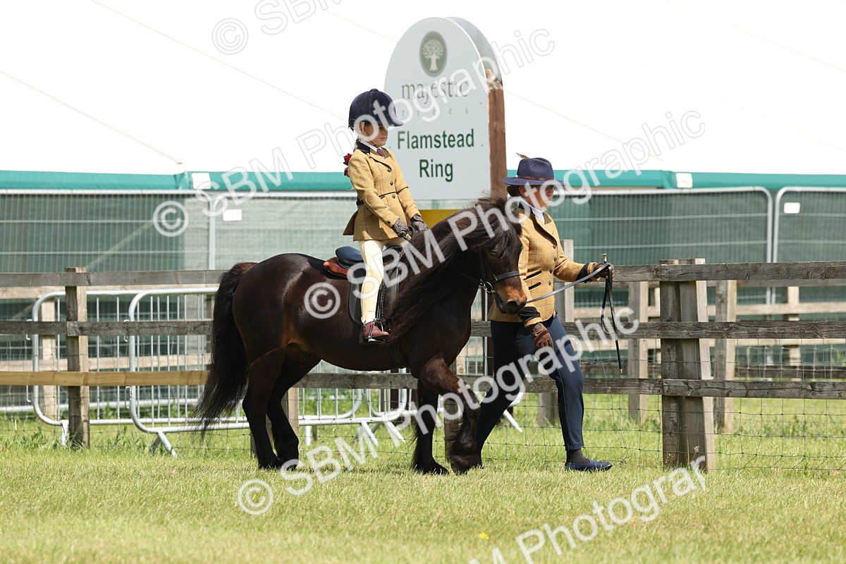 SBM_05161 - Class 24-25 - Mountain & Moorland In Hand Lead Rein and First Ridden
