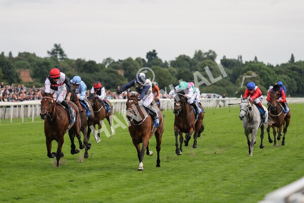 yr19082021r6-10 - Race 6 4.45pm British EBF & Sir Henry Cecil Galtres Stakes