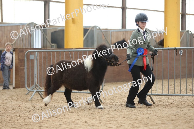 20251109-0447 - Championship