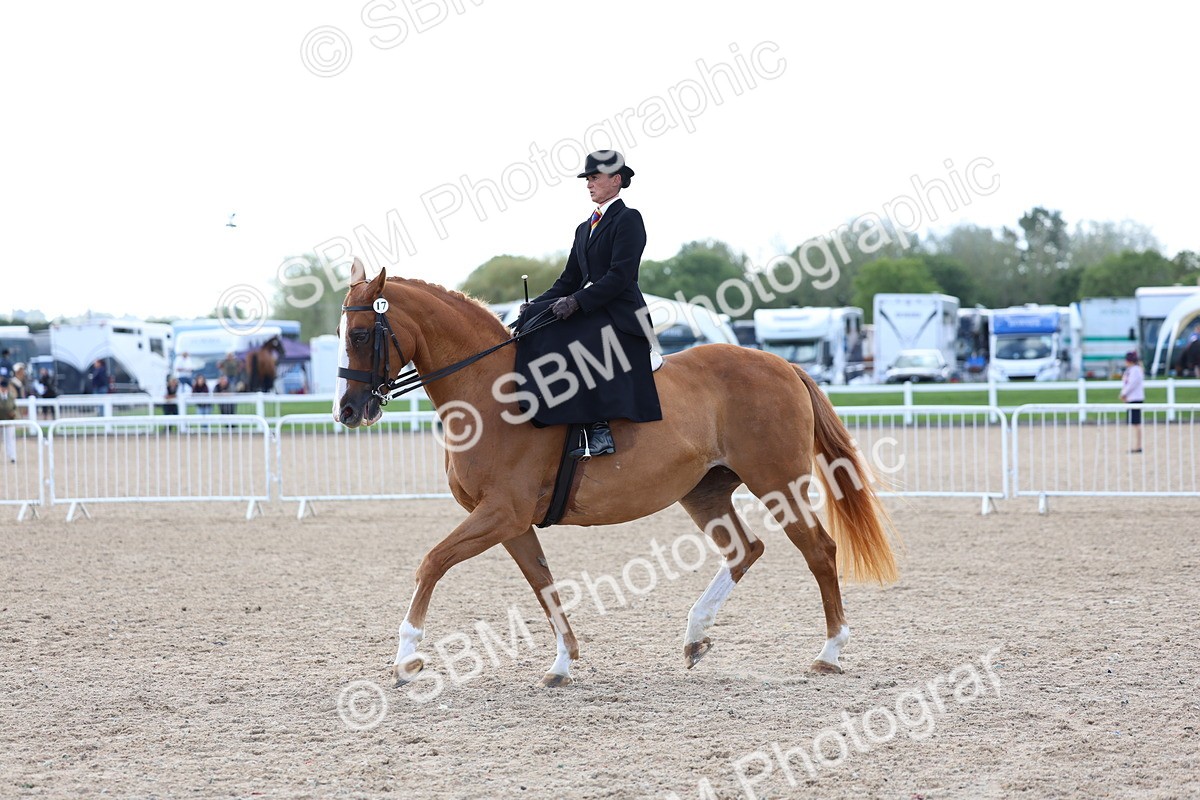 SBM_11220 - Class 306 - Ridden Foreign Breeds - Part Bred