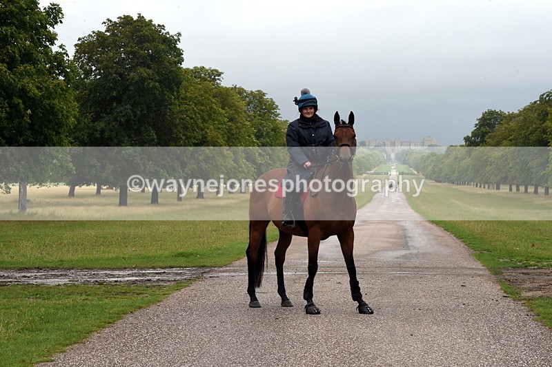 TT3_8329 - Time at Crossing 10:16 to 11:38