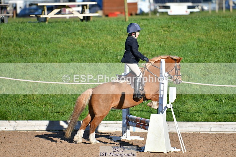 231202A-124357-01217 - Cls 02 50cm