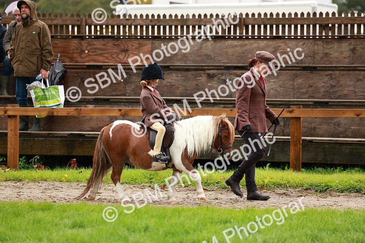 SBM_33738 - S9 - Lead Rein Equitation