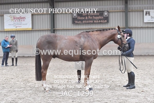 JAC_1299 - CLASS 8 BHS Scotland Riding Club Working Hunter Qualifier (1.00m)