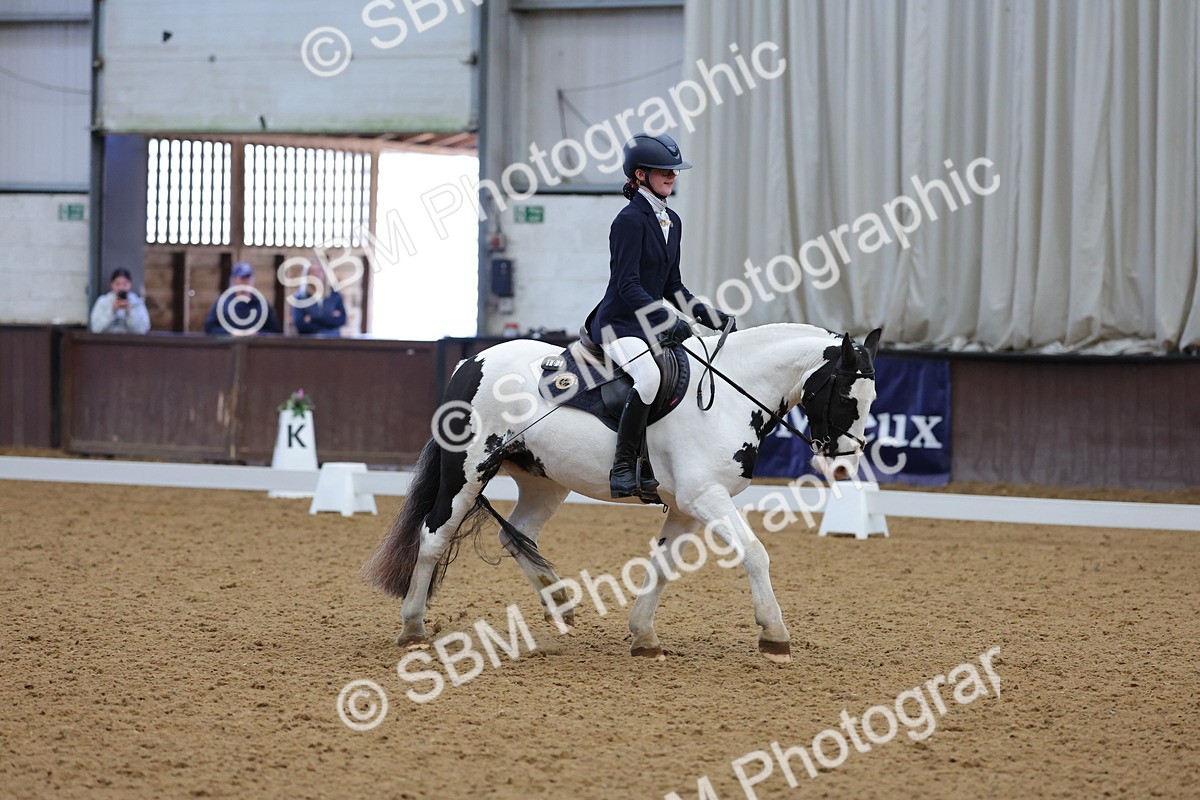 SBM_003088 - Novice
