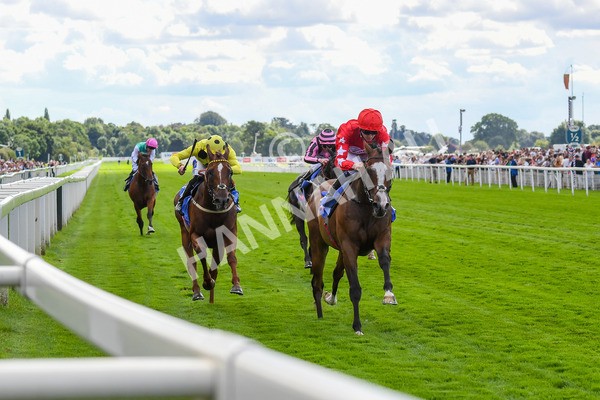 260823-Race 1-Spirit Dancer-0123 - Race 1 Sky Bet And Symphony Group Strensall Stakes