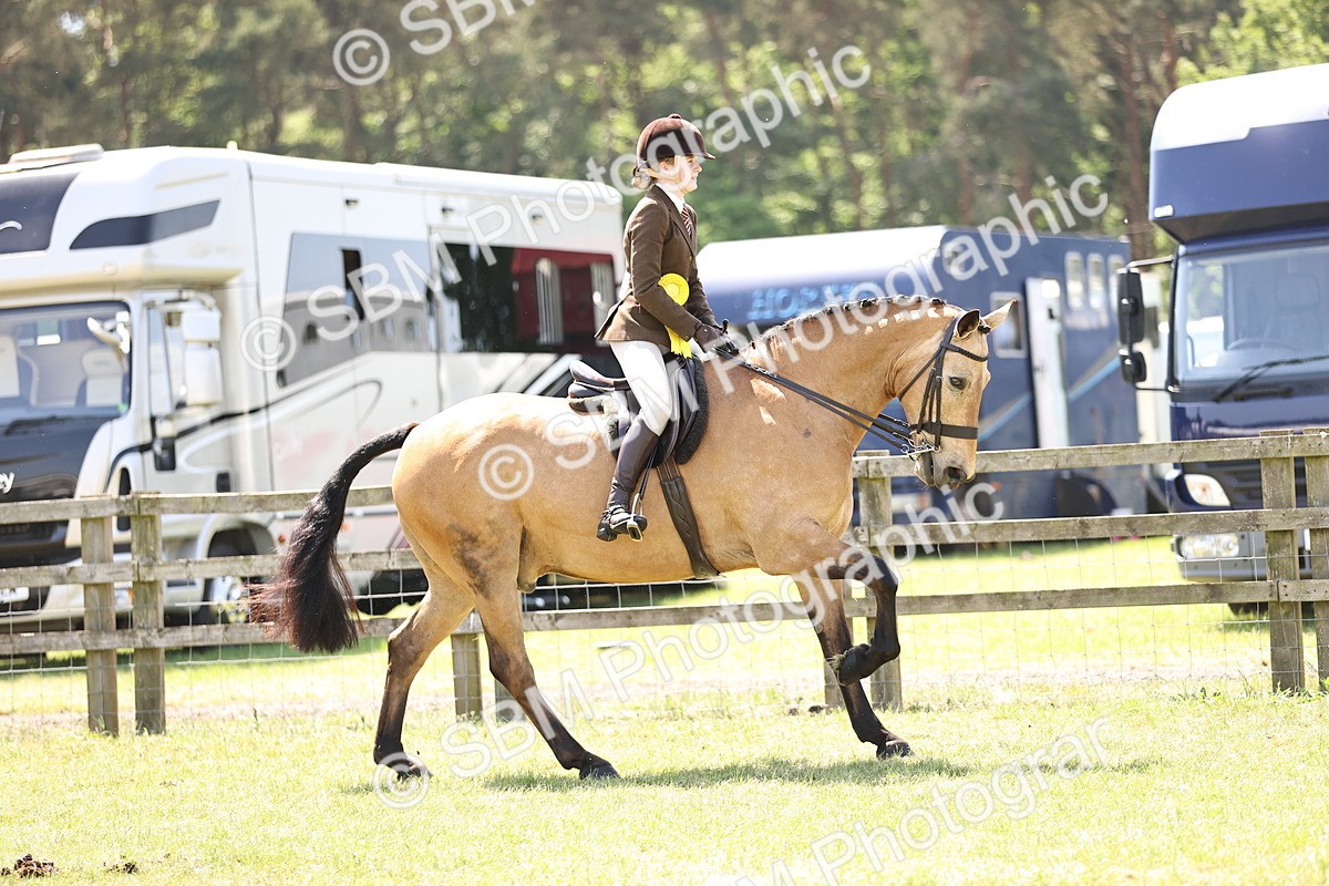 SBM_15254 - Class 79-80 - LIHS BSHA Rising Star Ridden Hunter