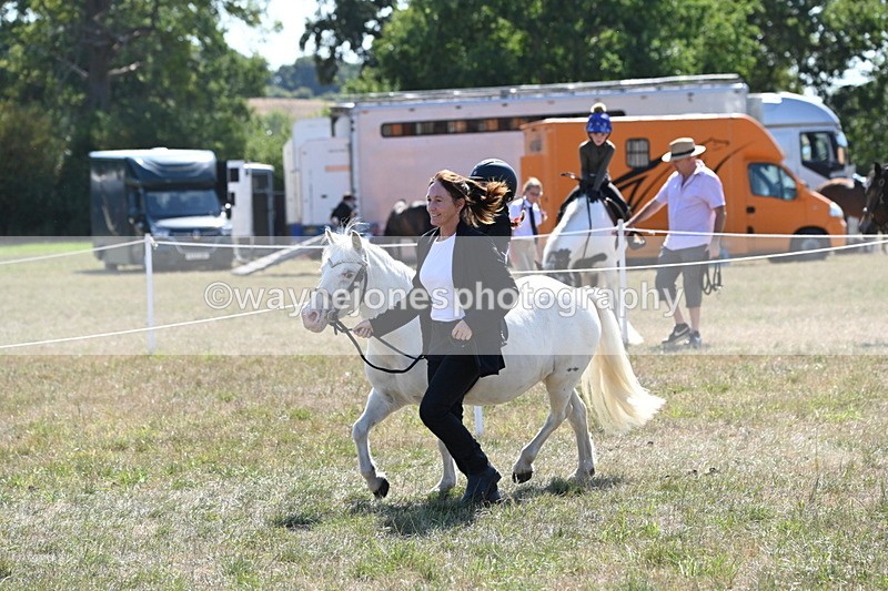 WJ6_7881 - Class 36 Lead Rein