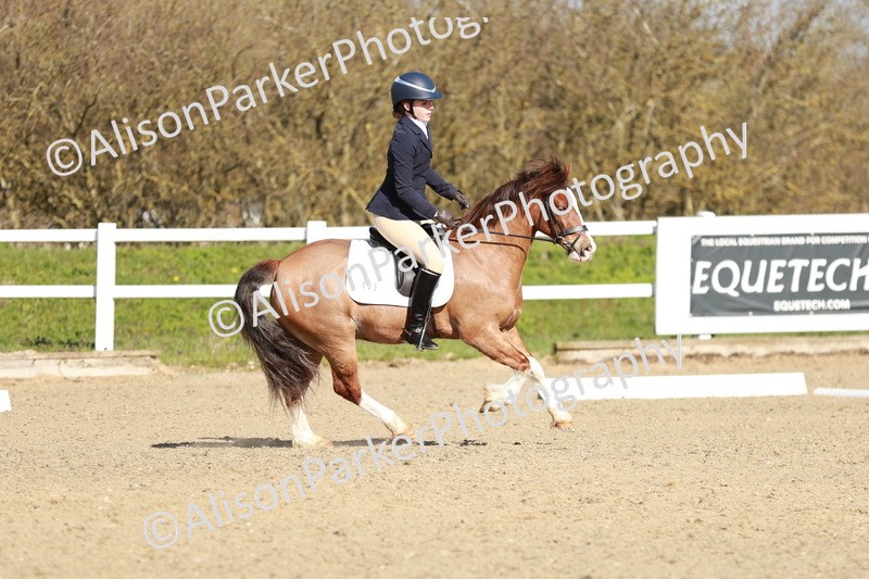 20260314-4302 - DR4 - Prelim 2