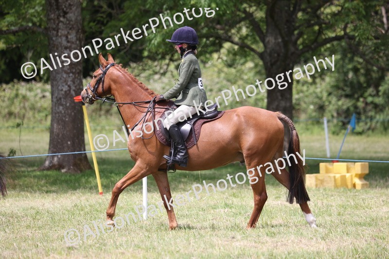 20260614-2125 - Class 21 - Novice Working Hunter Pony