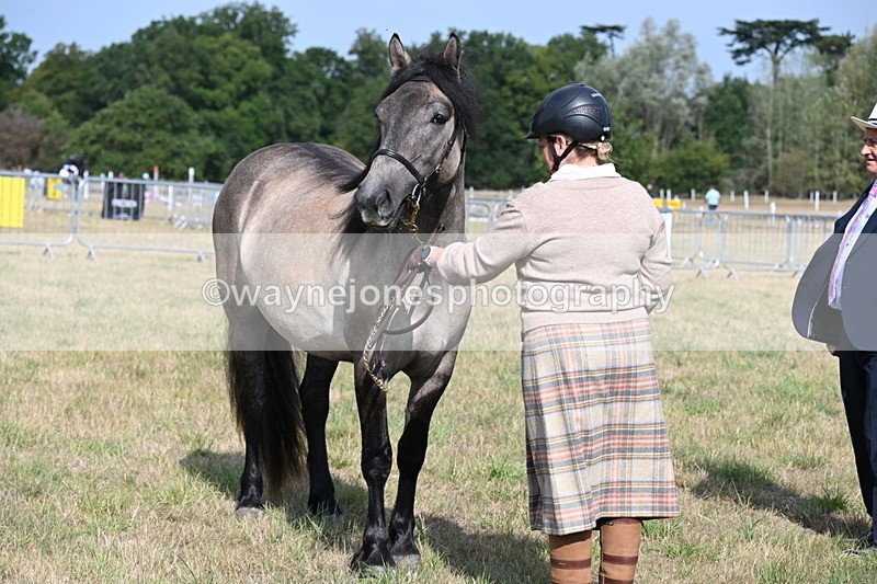 WJ6_4138 - Class 15 Youngstock