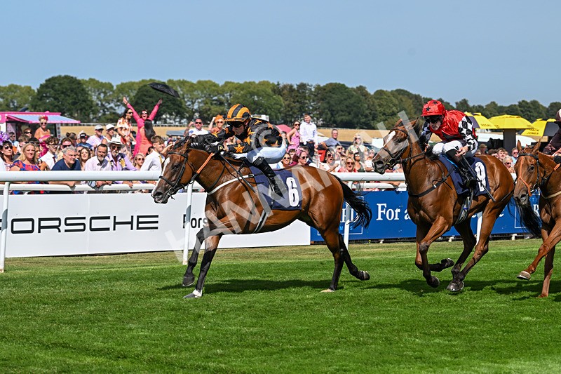 130825-Race 2-Brimfulofattitude-7152 - Race 2