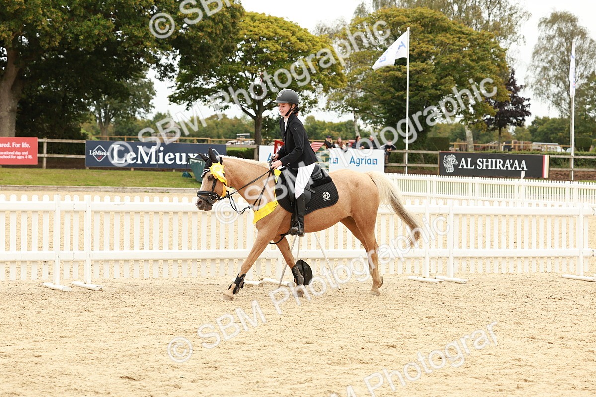 SBM_63926 - J12 - Junior Pony 55cm Championship