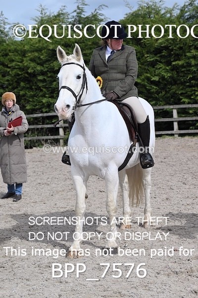 BPP_7576 - RING 1  (RIDDEN HORSES / IN HAND / VETERAN ETC)