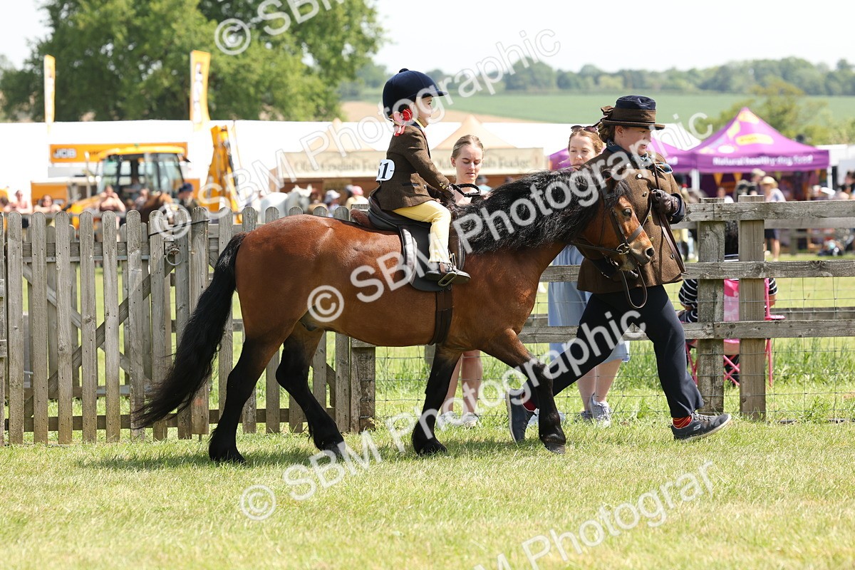 SBM_05182 - Class 24-25 - Mountain & Moorland In Hand Lead Rein and First Ridden