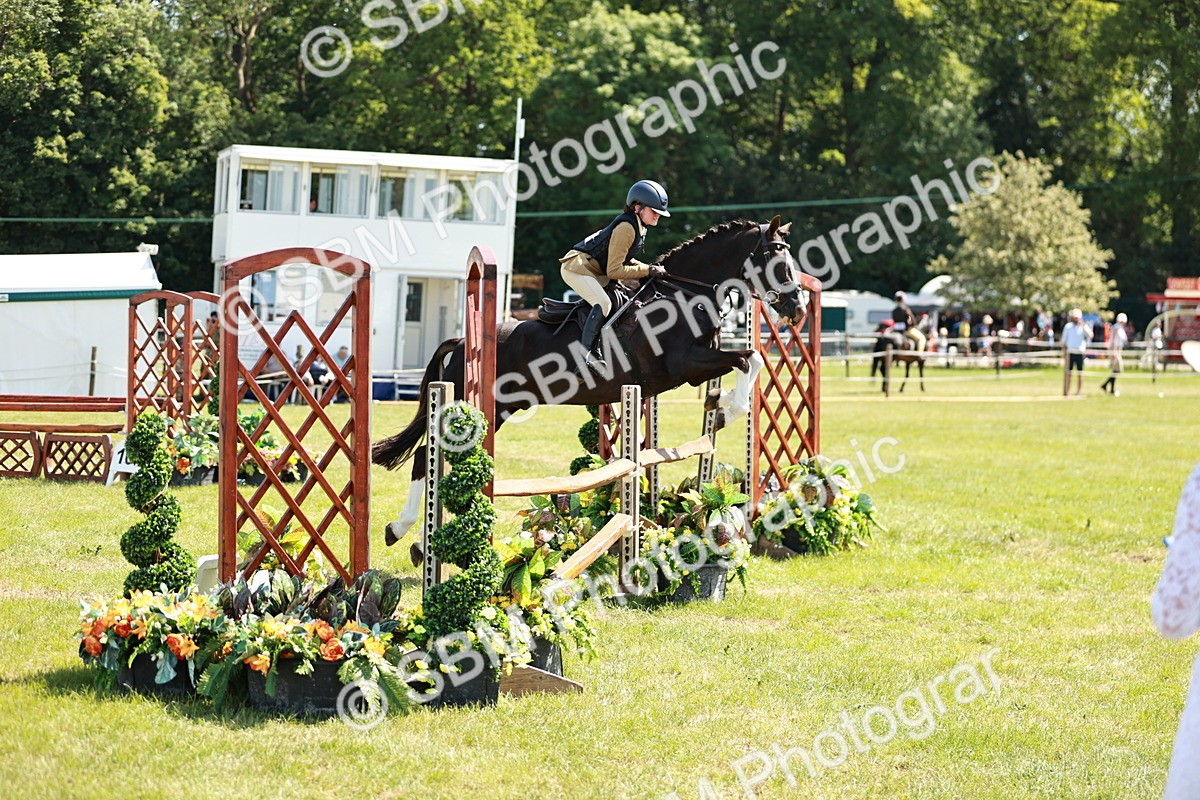 SBM_17601 - Class 112-113 - BSPS LIHS Working Sports Pony