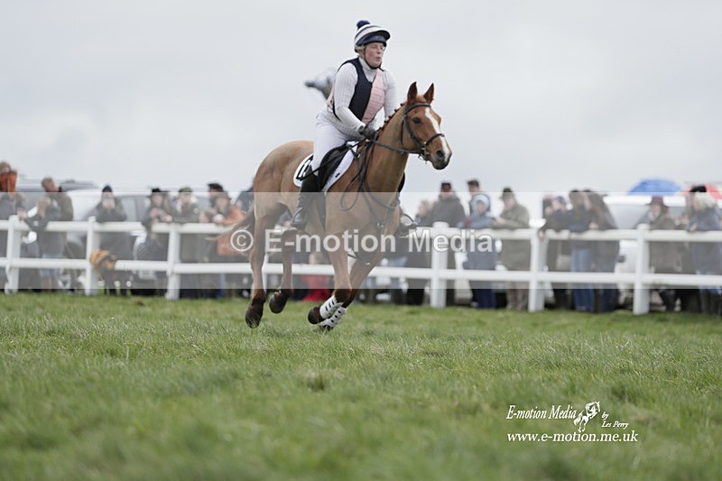 PtP 260323 0294 - New Forest Hounds Point-to-Point Larkhill 26/03/23