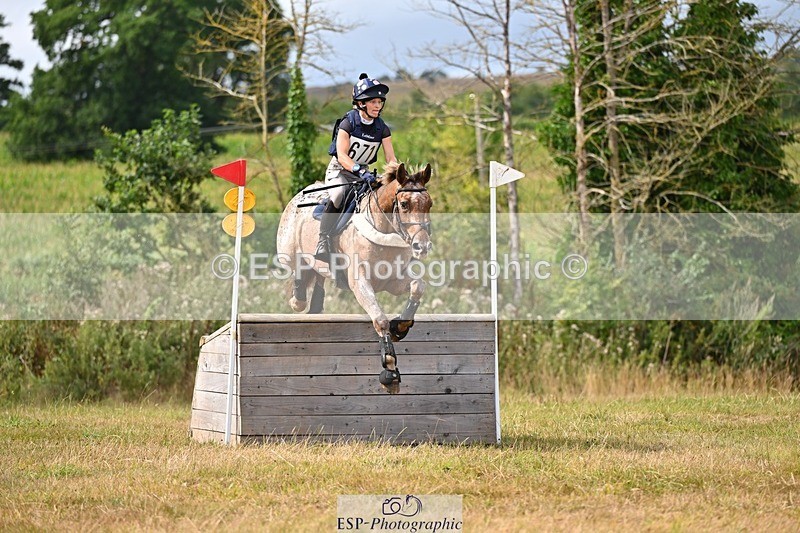 250803A-152205-15983 - O-671-Holly.Day-MUSTANG