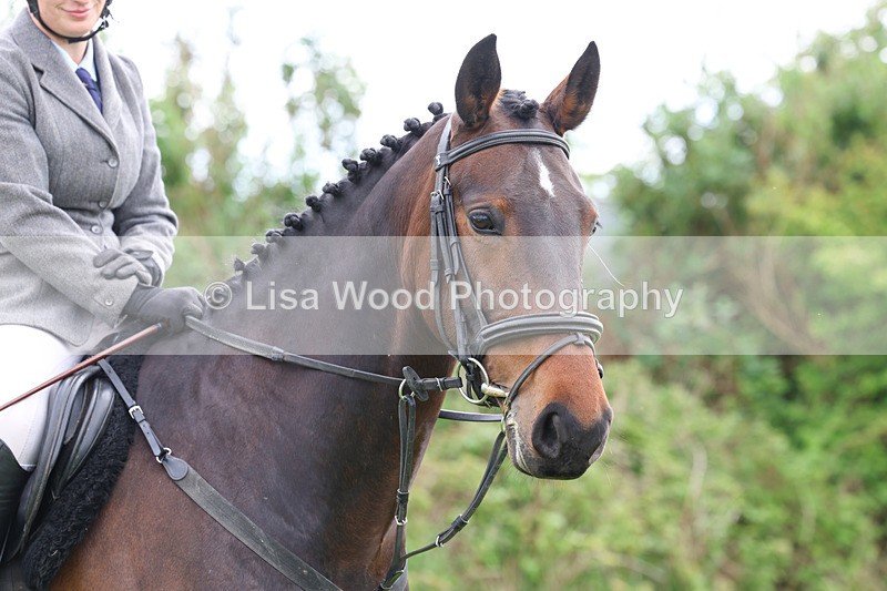 3E7A1267 - Class 7: Ridden Hunter Type