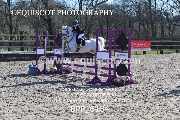 BPP_6184 - CLASS 8 SAT Pony BritiNovice / 0.80m Open