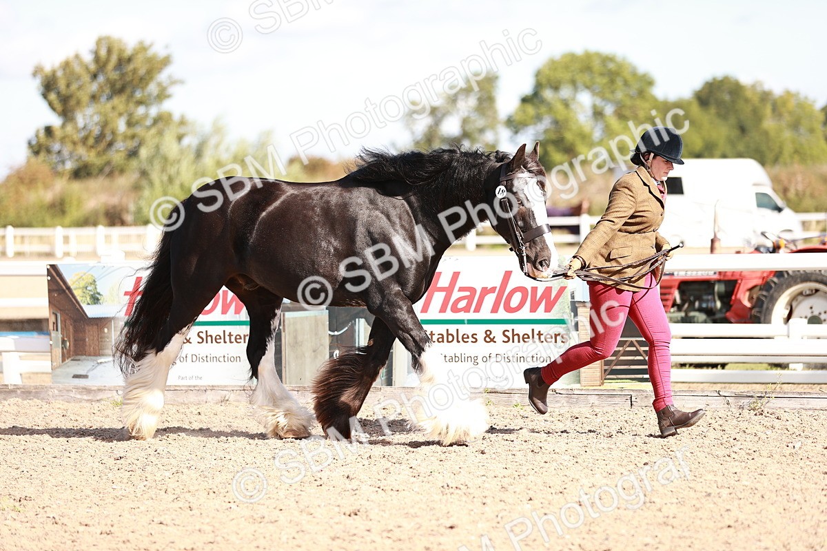 SBM_12583 - Class 404 - IH Traditional - Native Cob