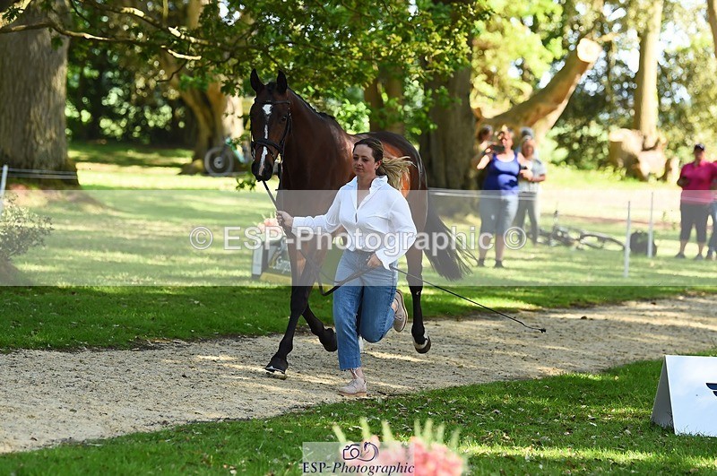 230524-162438-00851 - 101-INTERFIELDS_ABOUDDI-Saffron_Cresswell-WEDTrotUp+DR